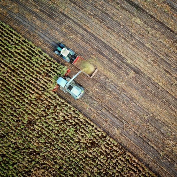 Écologie : où en est la droite ?