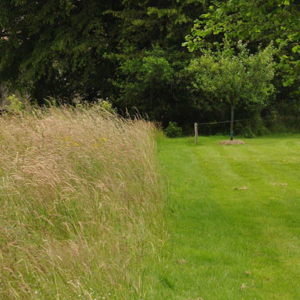 Laissez pousser l’herbe, bordel !