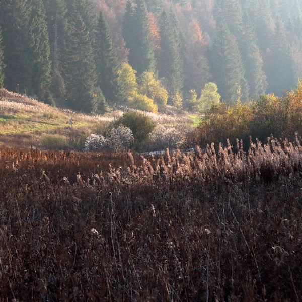 Jura, fragile paradis sauvage