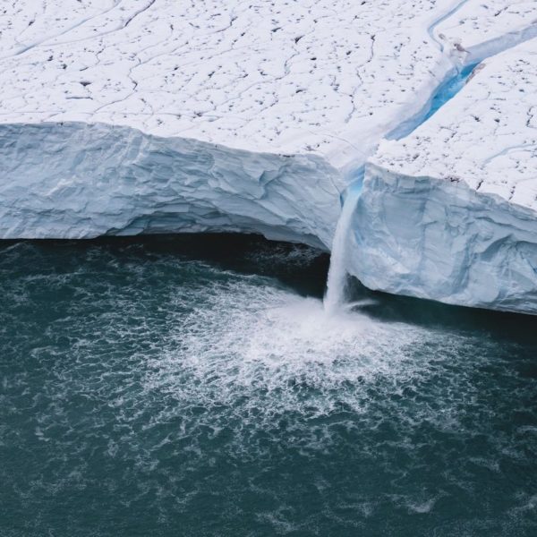 Vous allez pleurer devant “Legacy”, le nouveau film de Yann Arthus Bertrand