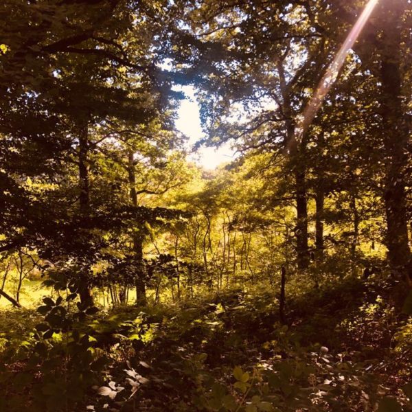 « Respecter la nature, cela passe par le respect de l’autre. » Thomas Bouvatier, psychanalyste