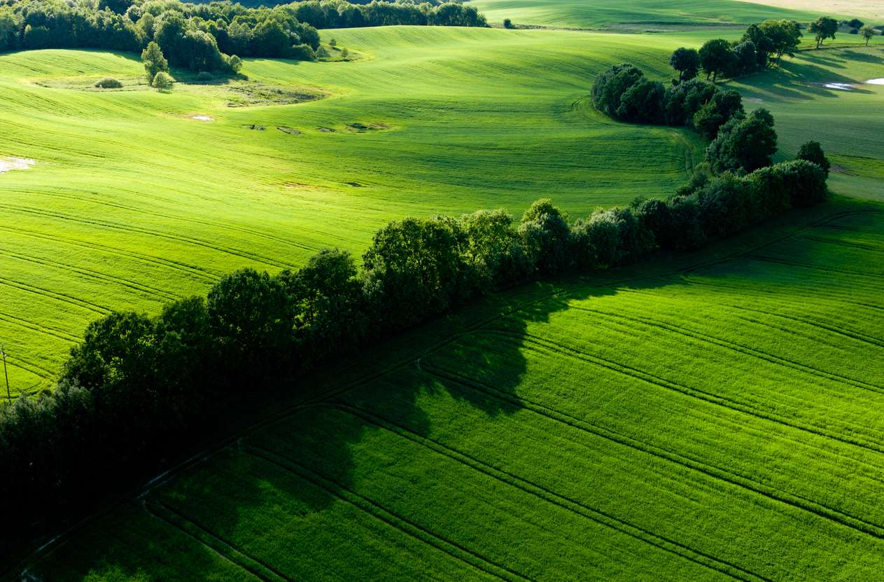 pourquoi-on-se-plante-vouloir-replanter-des-haies